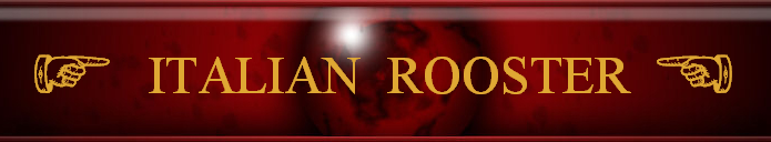 Italian Rooster